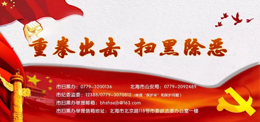 北海向海大道最新规划,北海经济区最新规划