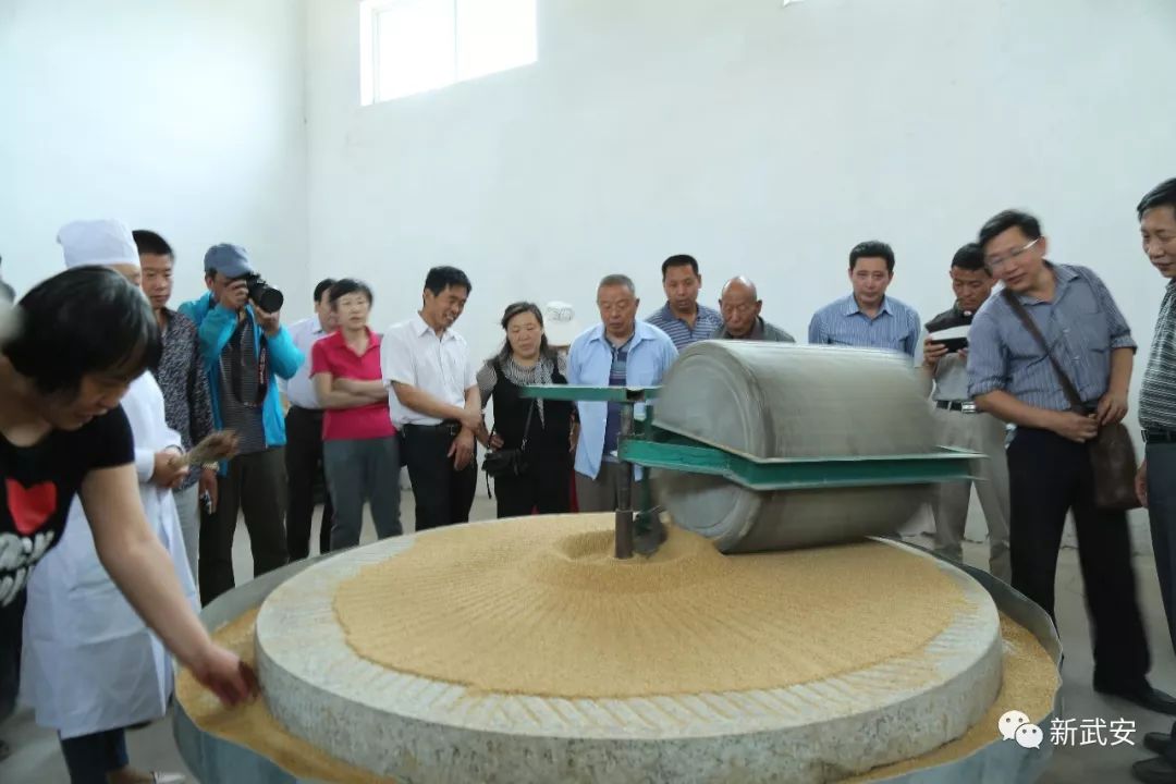 武安谷子,武安种什么农作物好