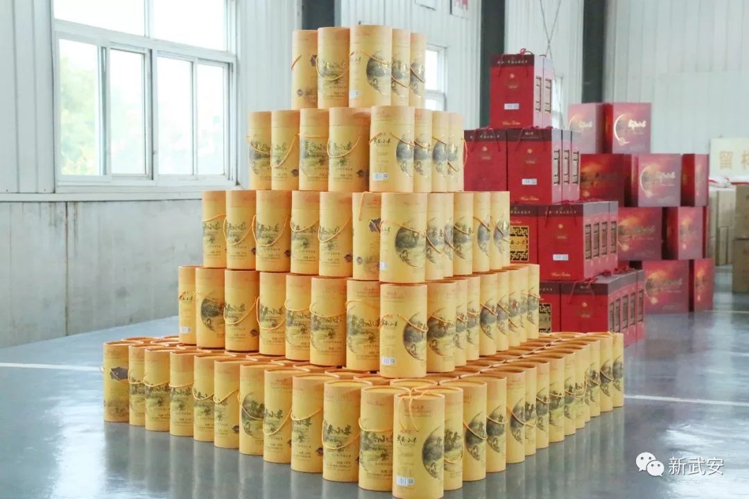 武安谷子,武安种什么农作物好