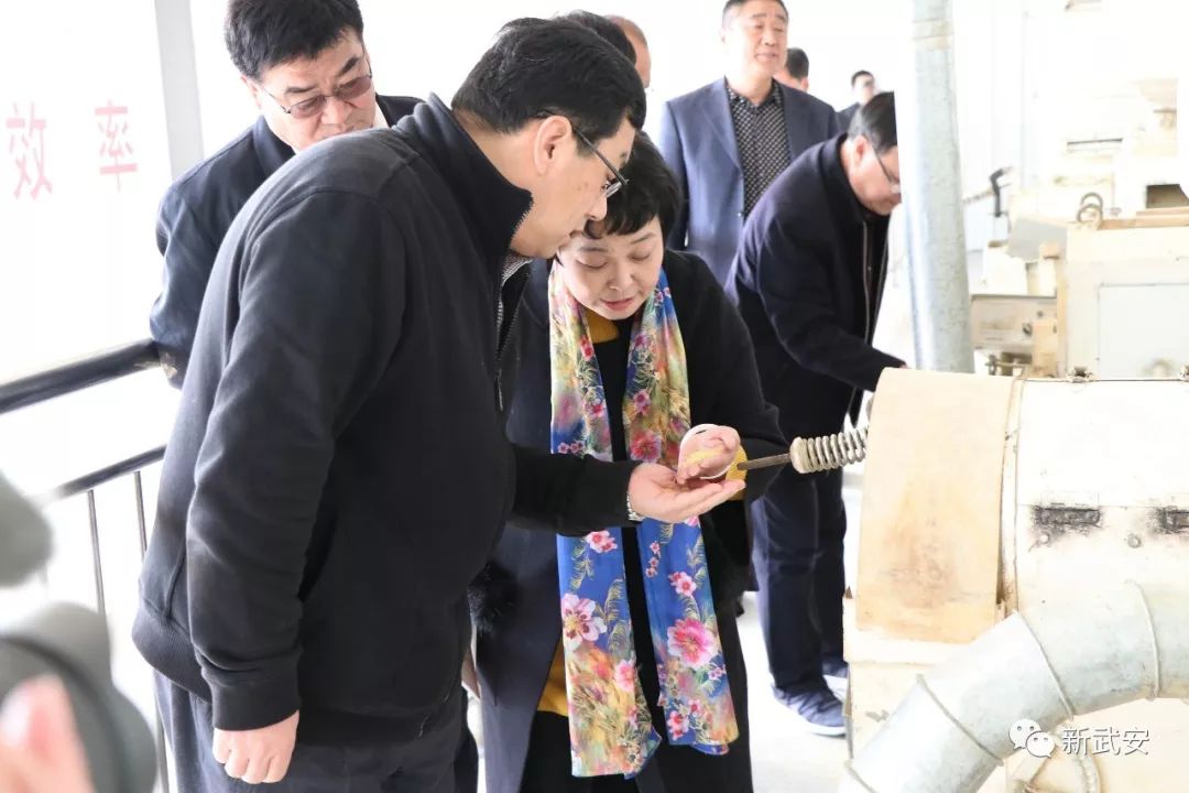 武安谷子,武安种什么农作物好