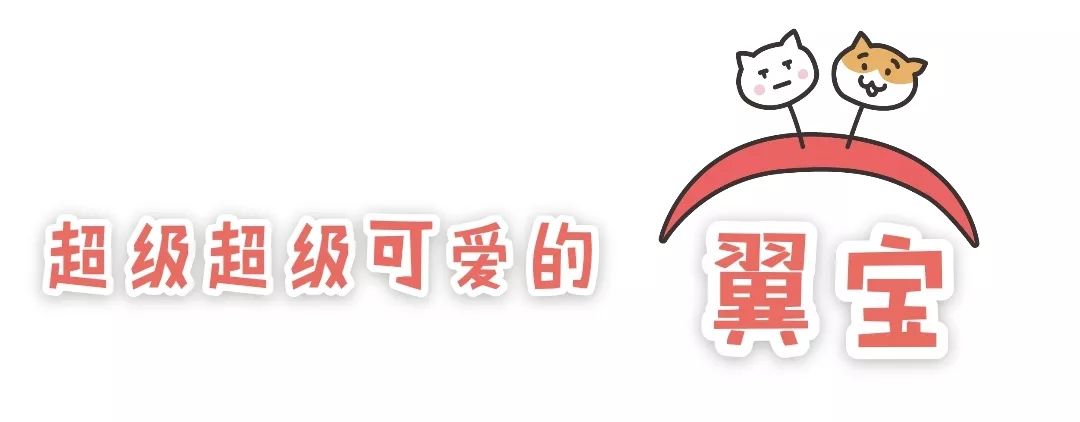 湘大以前多厉害,湘大以前有多出名