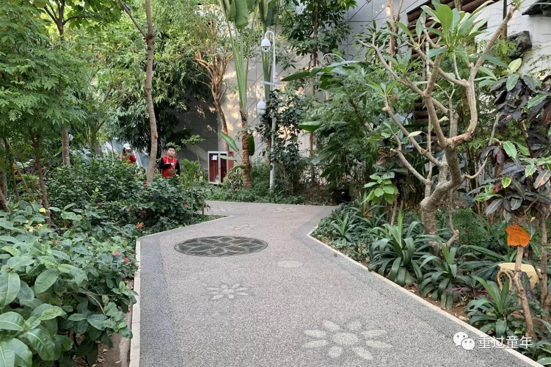 西安一个神奇的公园,西安市最值得去的免费公园景点