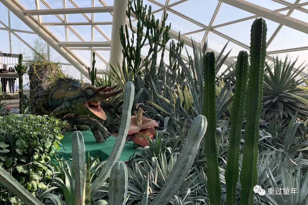 西安一个神奇的公园,西安市最值得去的免费公园景点