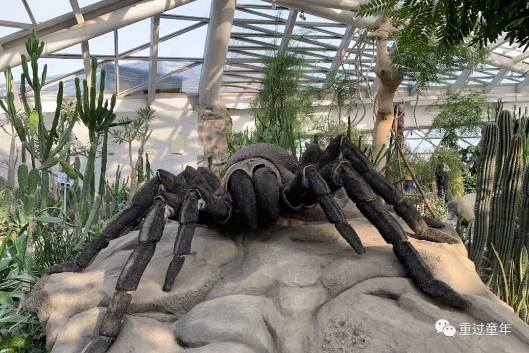 西安一个神奇的公园,西安市最值得去的免费公园景点