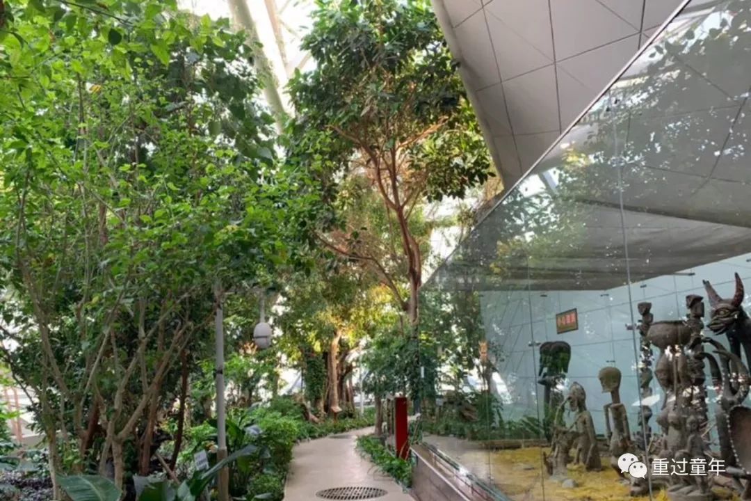 西安一个神奇的公园,西安市最值得去的免费公园景点