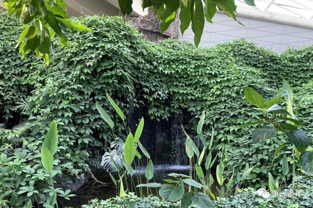 西安一个神奇的公园,西安市最值得去的免费公园景点