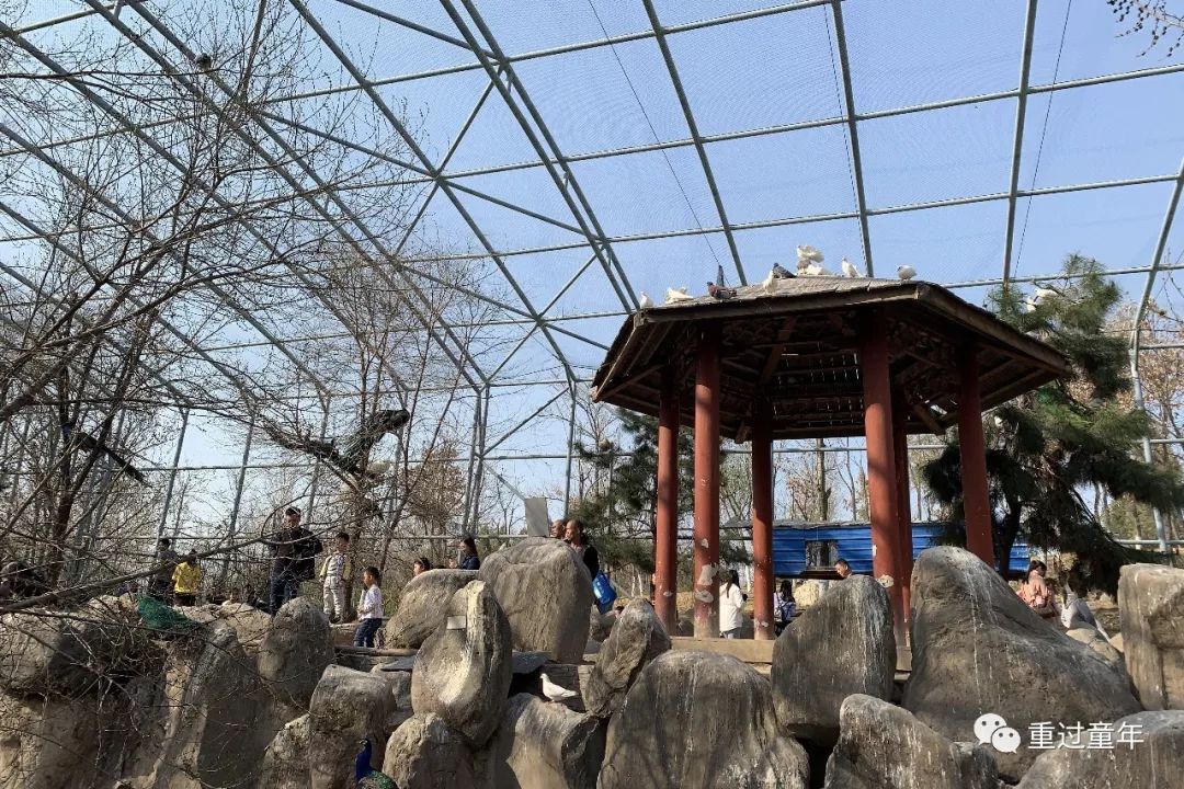 西安一个神奇的公园,西安市最值得去的免费公园景点