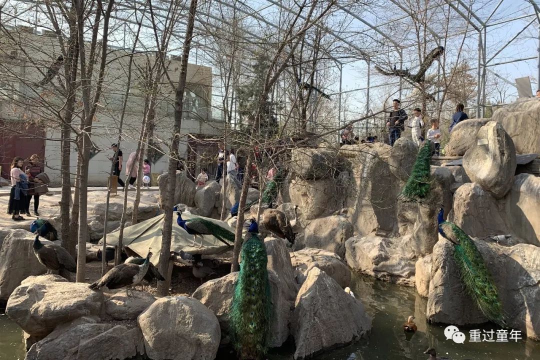 西安一个神奇的公园,西安市最值得去的免费公园景点