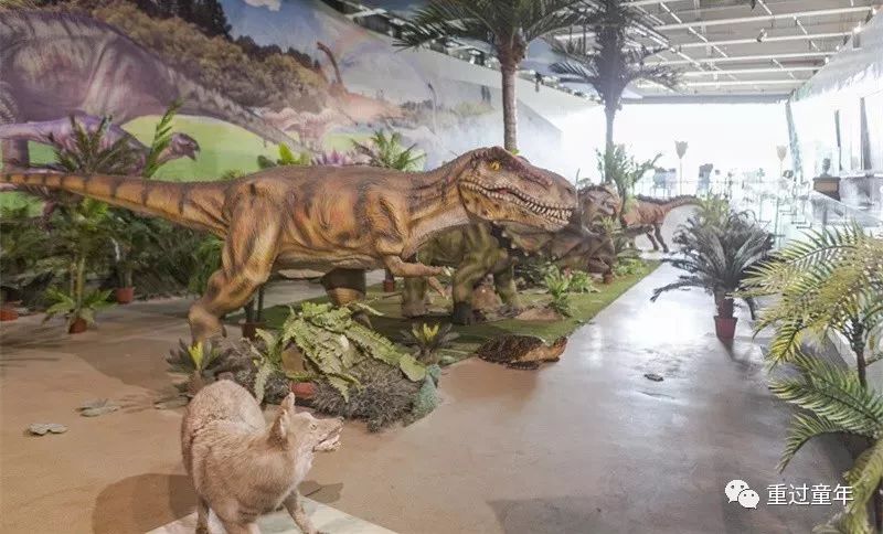 西安一个神奇的公园,西安市最值得去的免费公园景点