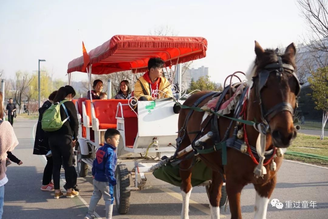 西安一个神奇的公园,西安市最值得去的免费公园景点