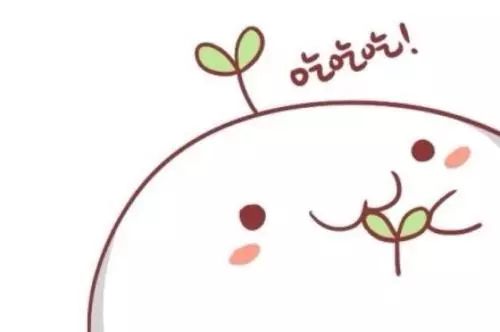 云农趣说｜今天也是养生又美味的你吗？