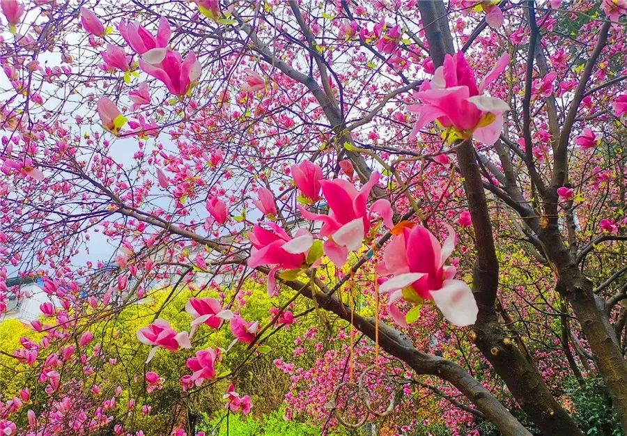 芬迪起诉商标侵权4年终获赔偿,芬迪商标侵权