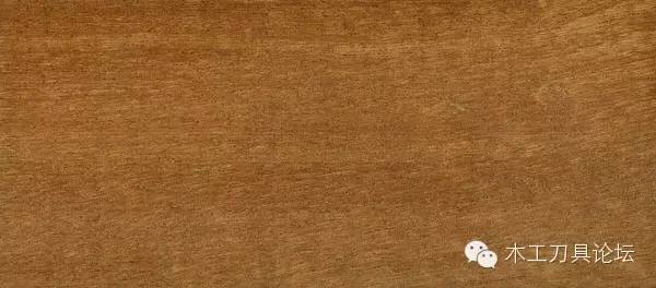 木材的种类及识别,常见木材的识别方法