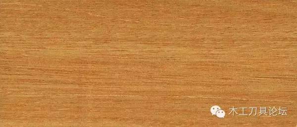 木材的种类及识别,常见木材的识别方法