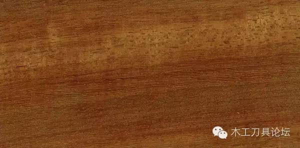 木材的种类及识别,常见木材的识别方法