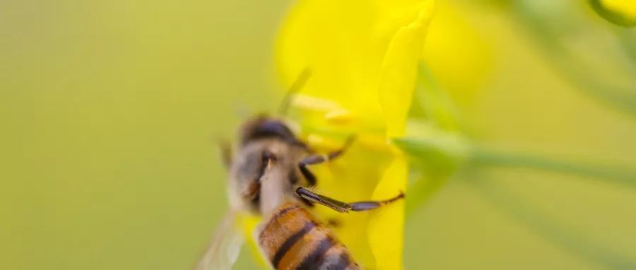 急救手册书籍推荐,急救手册推荐