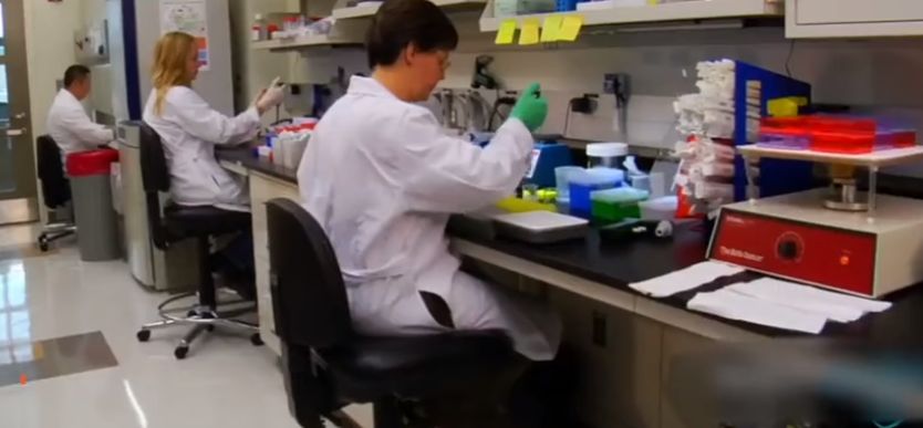 咪蒙团队新消息,咪蒙公司解散事件