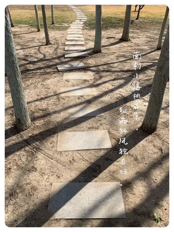 津城下周天气怎么样,津城下周冷空气消息