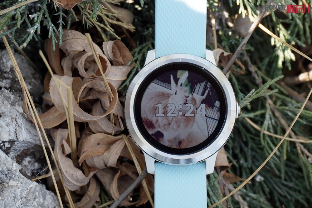 运动手表gariminactive评测,garminvivoactive3价格