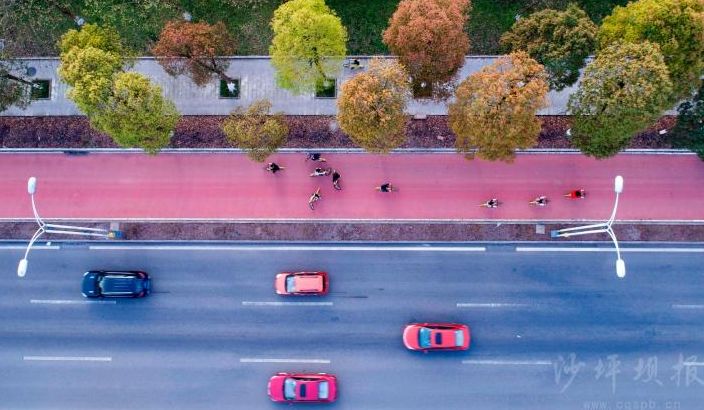 “重马”来啦！在沙坪坝的春天里应这样度过