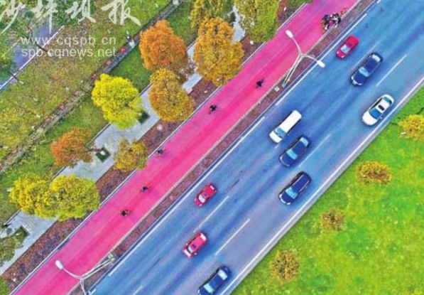 “重马”来啦！在沙坪坝的春天里应这样度过