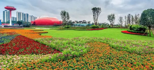 “重马”来啦！在沙坪坝的春天里应这样度过