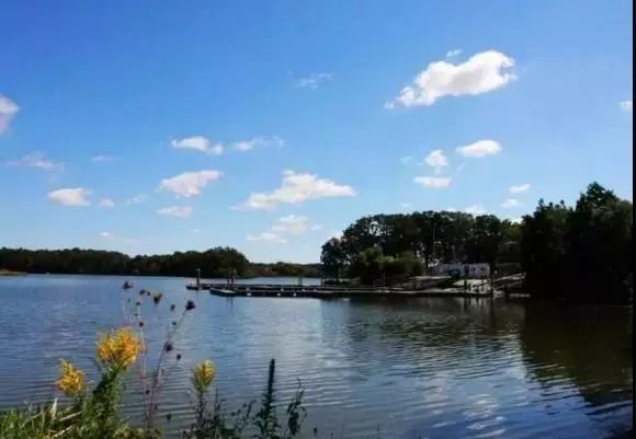 “重马”来啦！在沙坪坝的春天里应这样度过