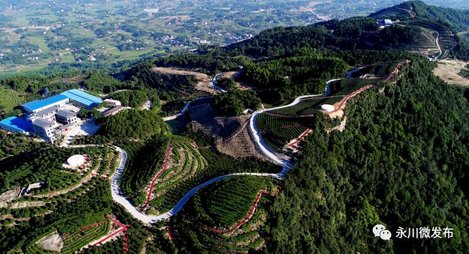 国务院表扬永川,国家对永川定位