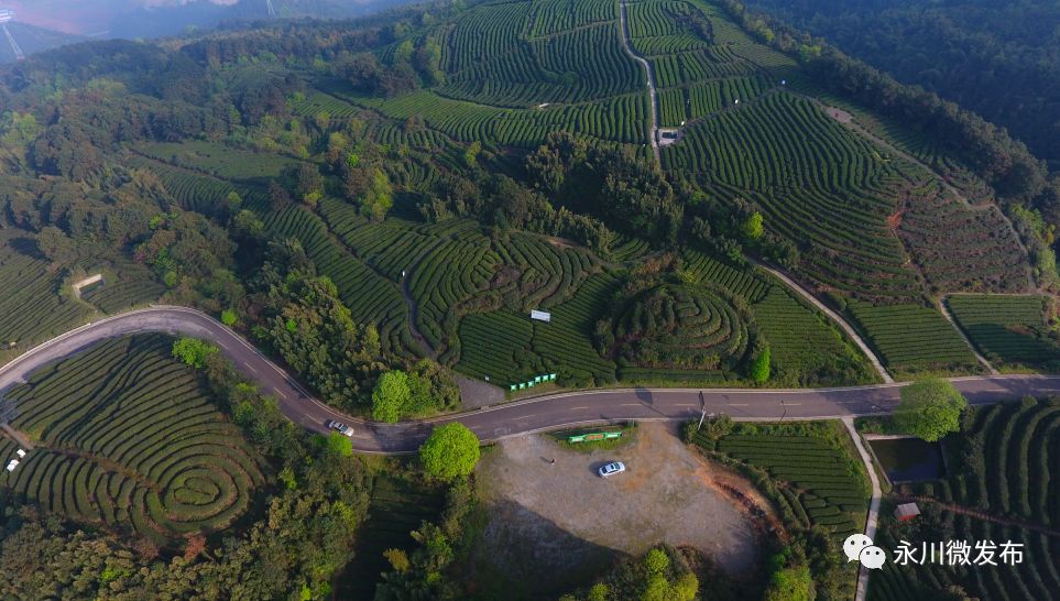 国务院表扬永川,国家对永川定位