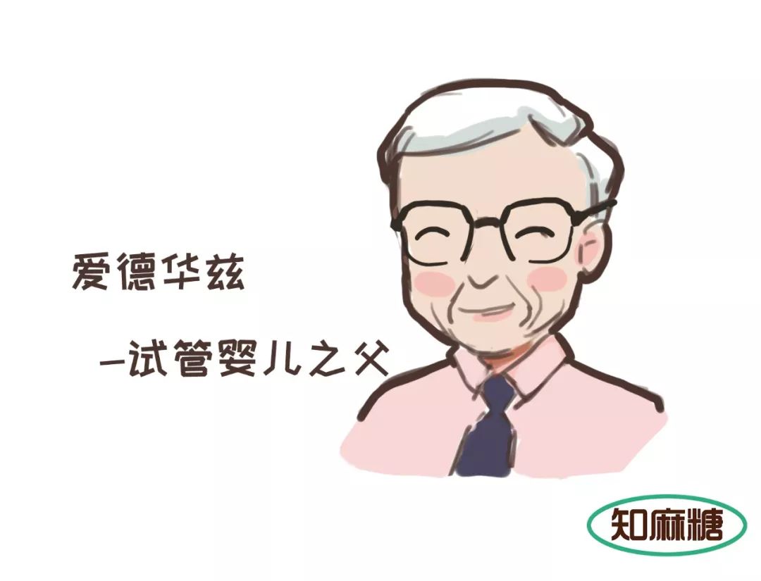 什么是试管婴儿费用一般多少,什么是试管婴儿解释