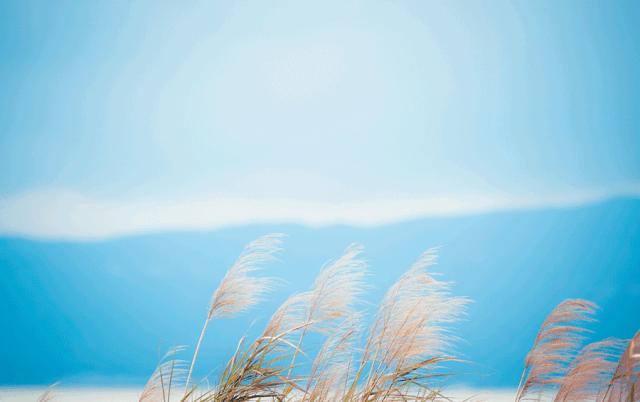 测试你为什么性格会大变,测试我的不自信指数