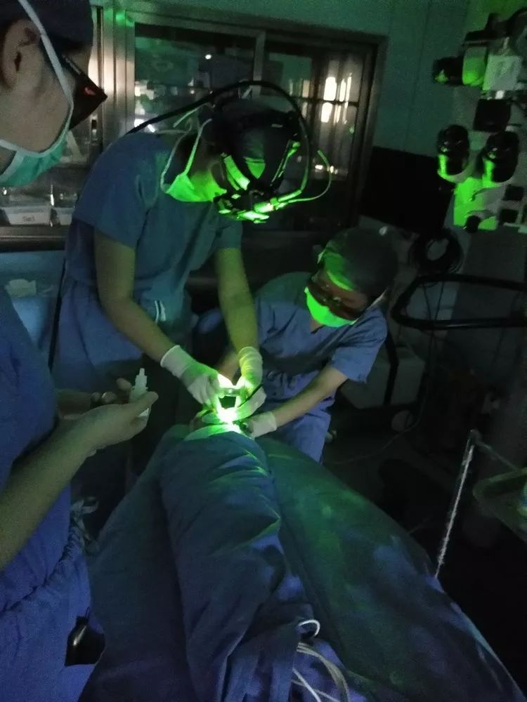 不忘初心不断精进——复旦大学附属眼耳鼻喉科医院进修体会