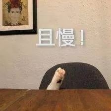 熊猫血患者急需输血,16岁女孩急需“熊猫血”