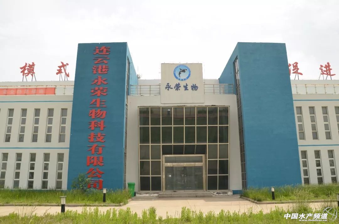 过硫酸氢钾对水产起什么作用,过硫酸氢钾在水产对病毒有效吗