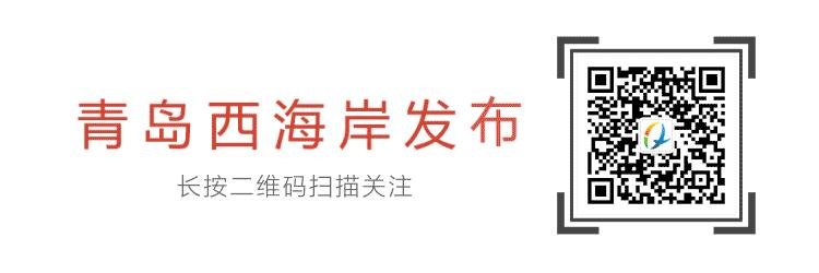 值得买的平价啤酒品牌,进口啤酒卖得最好的前十名品牌