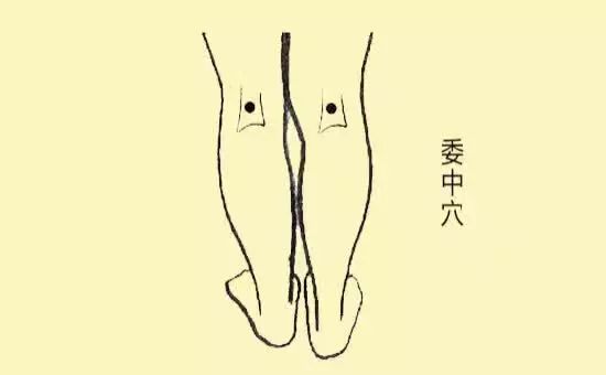 女性膝盖比男性更坏,为什么女人膝盖比男人坏得快