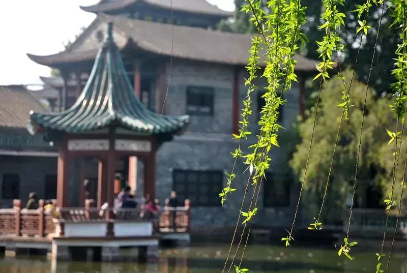 东莞五一旅游攻略推荐,最美人间四月天旅游攻略