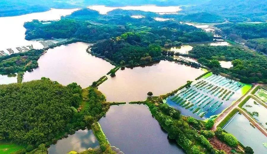 东莞五一旅游攻略推荐,最美人间四月天旅游攻略