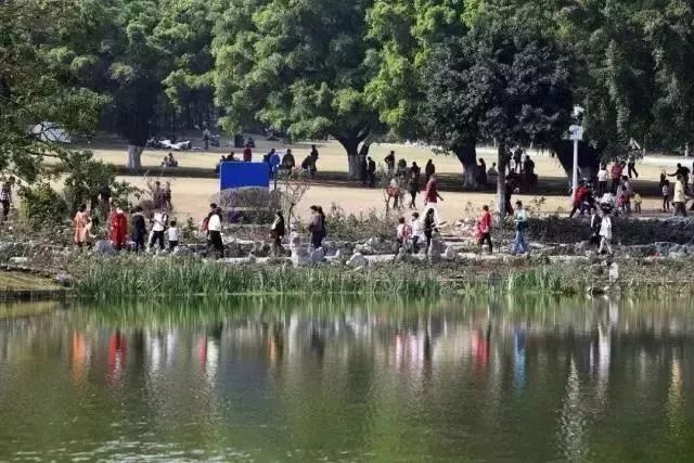 东莞五一旅游攻略推荐,最美人间四月天旅游攻略