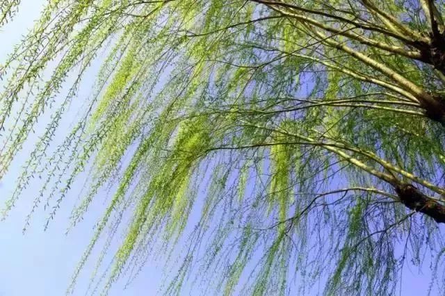 我姓杨，我向全邹城人民道歉！！但我有苦衷……