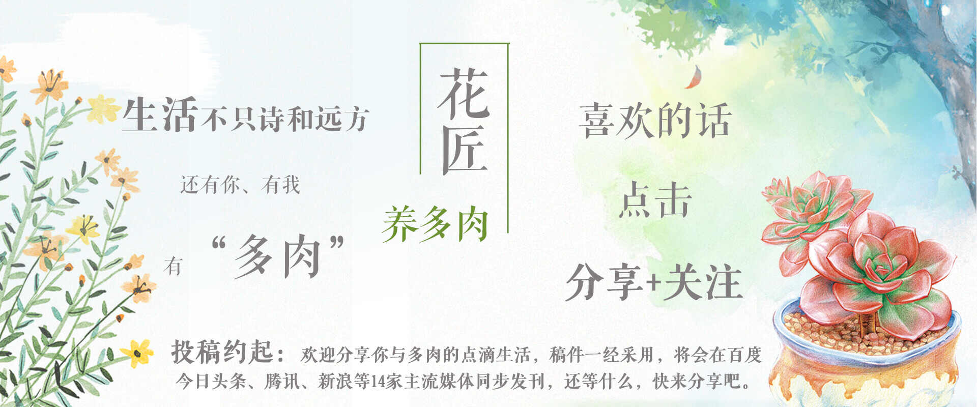 多肉叶片发霉是什么原因,多肉紫乐叶片发软是什么原因