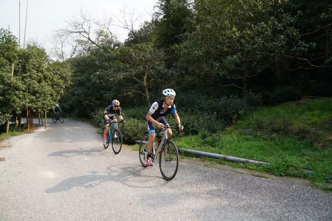 迪卡侬入门车型,迪卡侬triban500新款和旧款区别