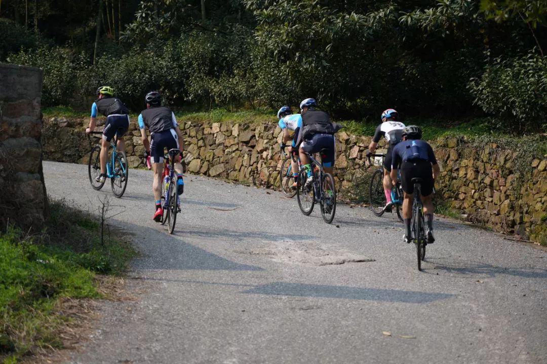 迪卡侬入门车型,迪卡侬triban500新款和旧款区别