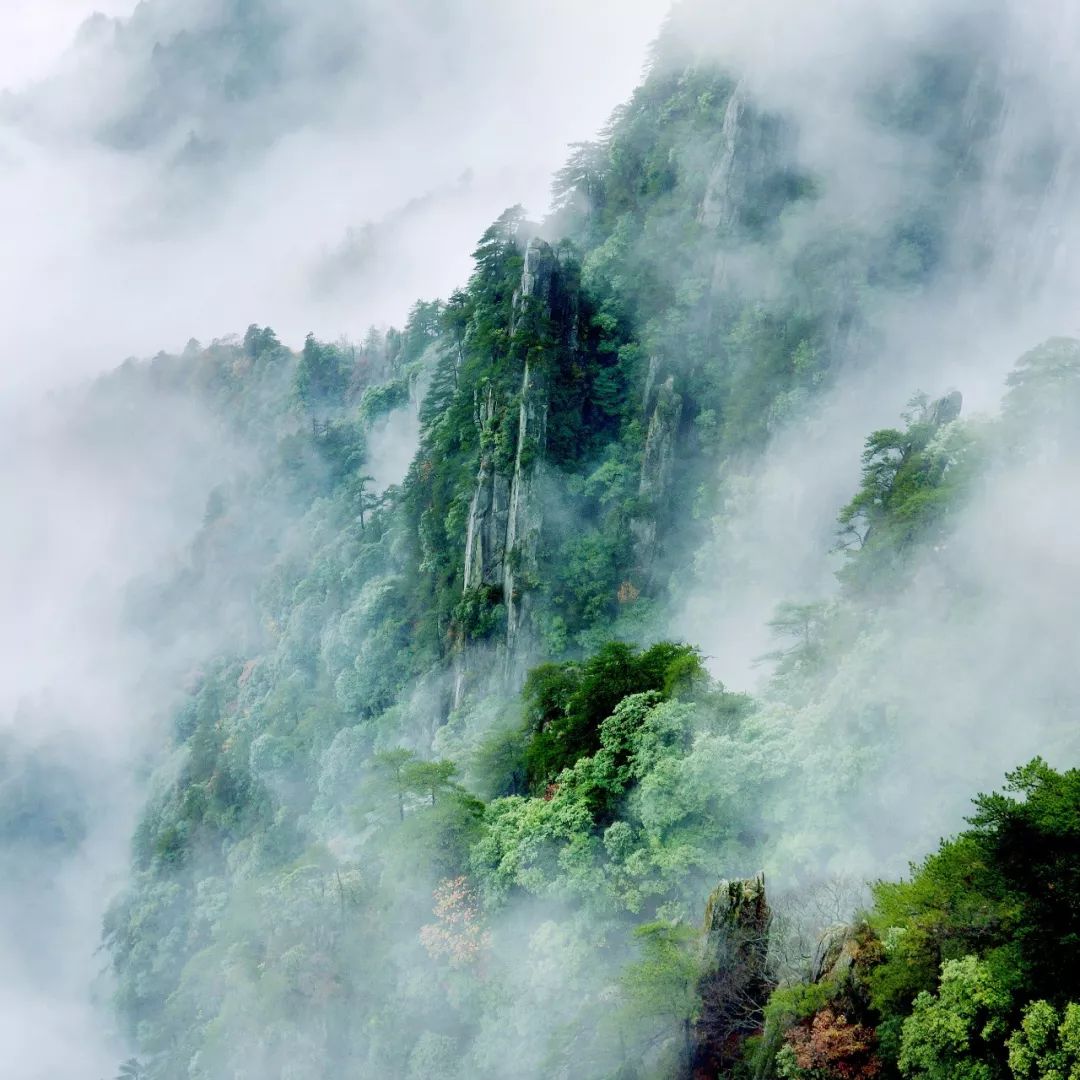 羊狮慕风景区过年放假么,暑期放假优惠有礼