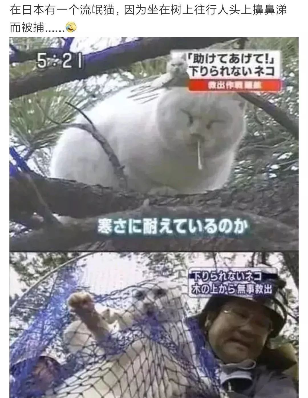 深夜和客服搞笑聊天截图,深夜和客服的聊天截图