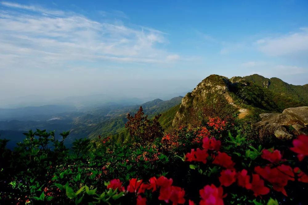 清明假期2023放假安排表,公司清明假期放假通知