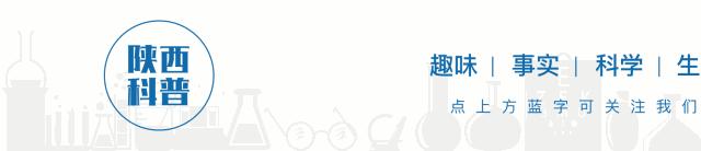 五分裤什么面料穿的舒服,工装裤什么面料最好最舒服