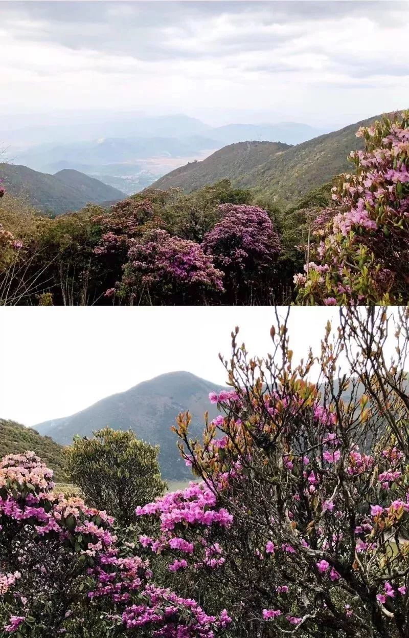 马耳山一日游攻略,马耳山旅行