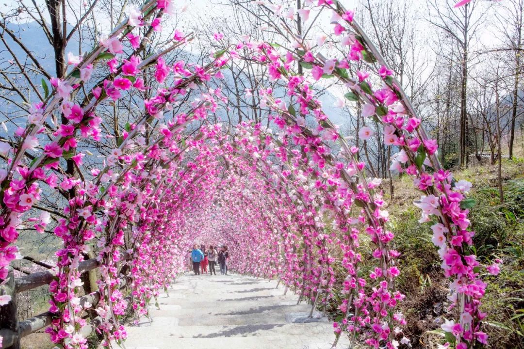 清明周边好去处成都,夏季成都周边花海打卡地