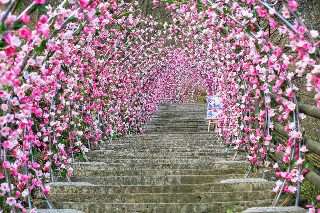 清明周边好去处成都,夏季成都周边花海打卡地